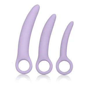 Dr. Laura Berman Alena Silicone Dilators - Set of 3 Lavender